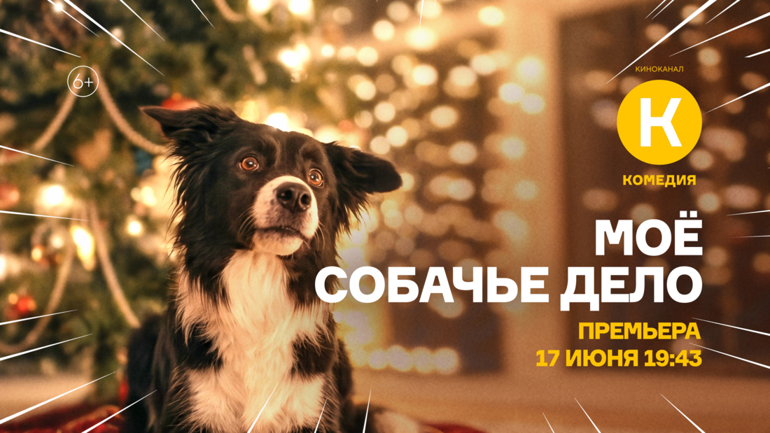 Премьера фильма «Моё собачье дело» на киноканале «Комедия» Премьера фильма «Моё собачье дело» на киноканале «Комедия»